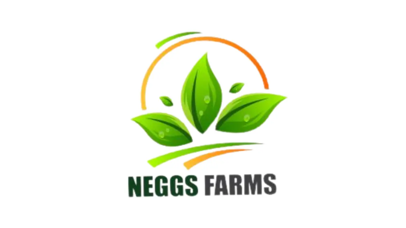 Neggs Farms